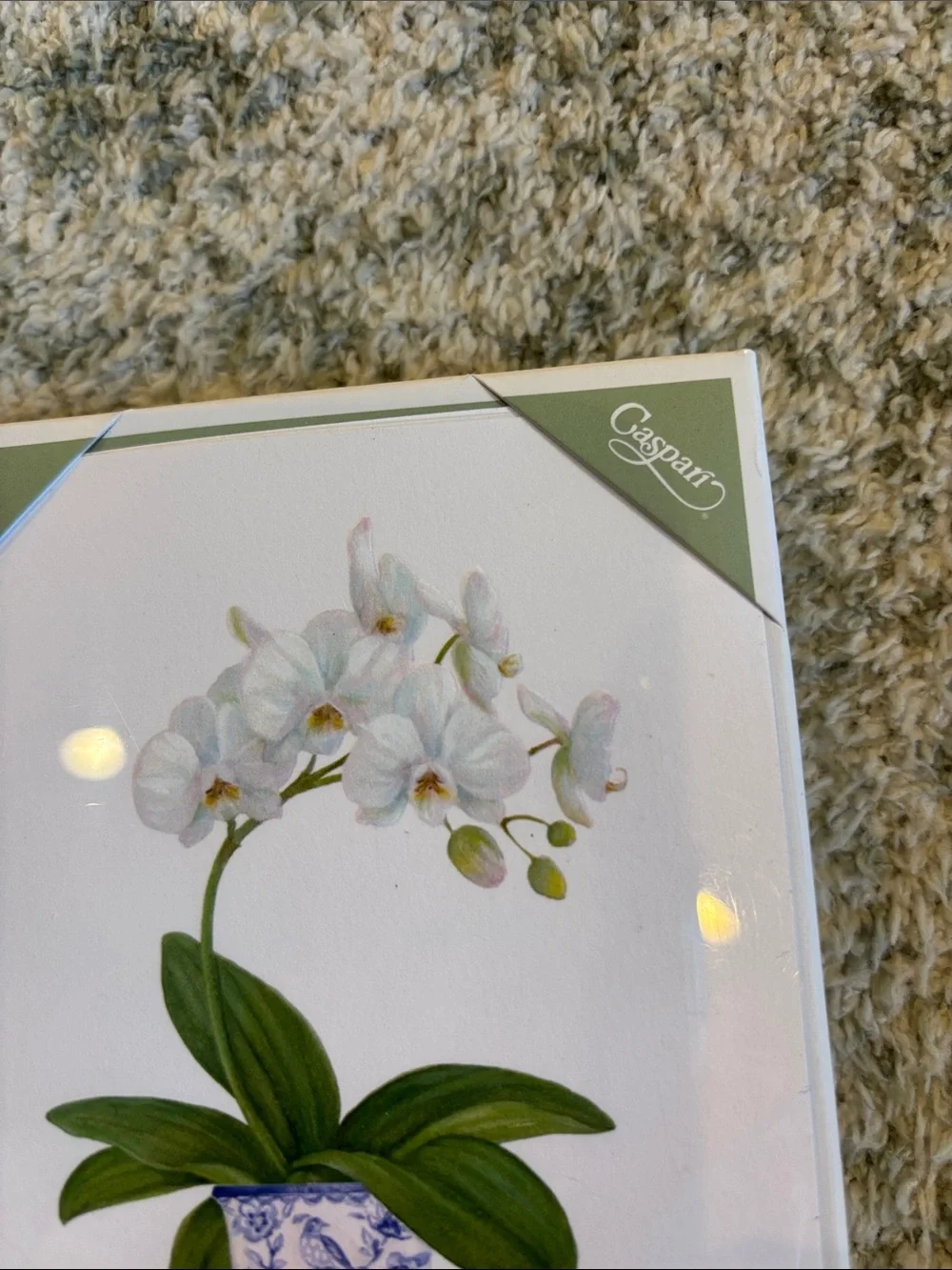Caspari White Potted Orchid Tropical Note Cards Set of 10 NWT Boxed